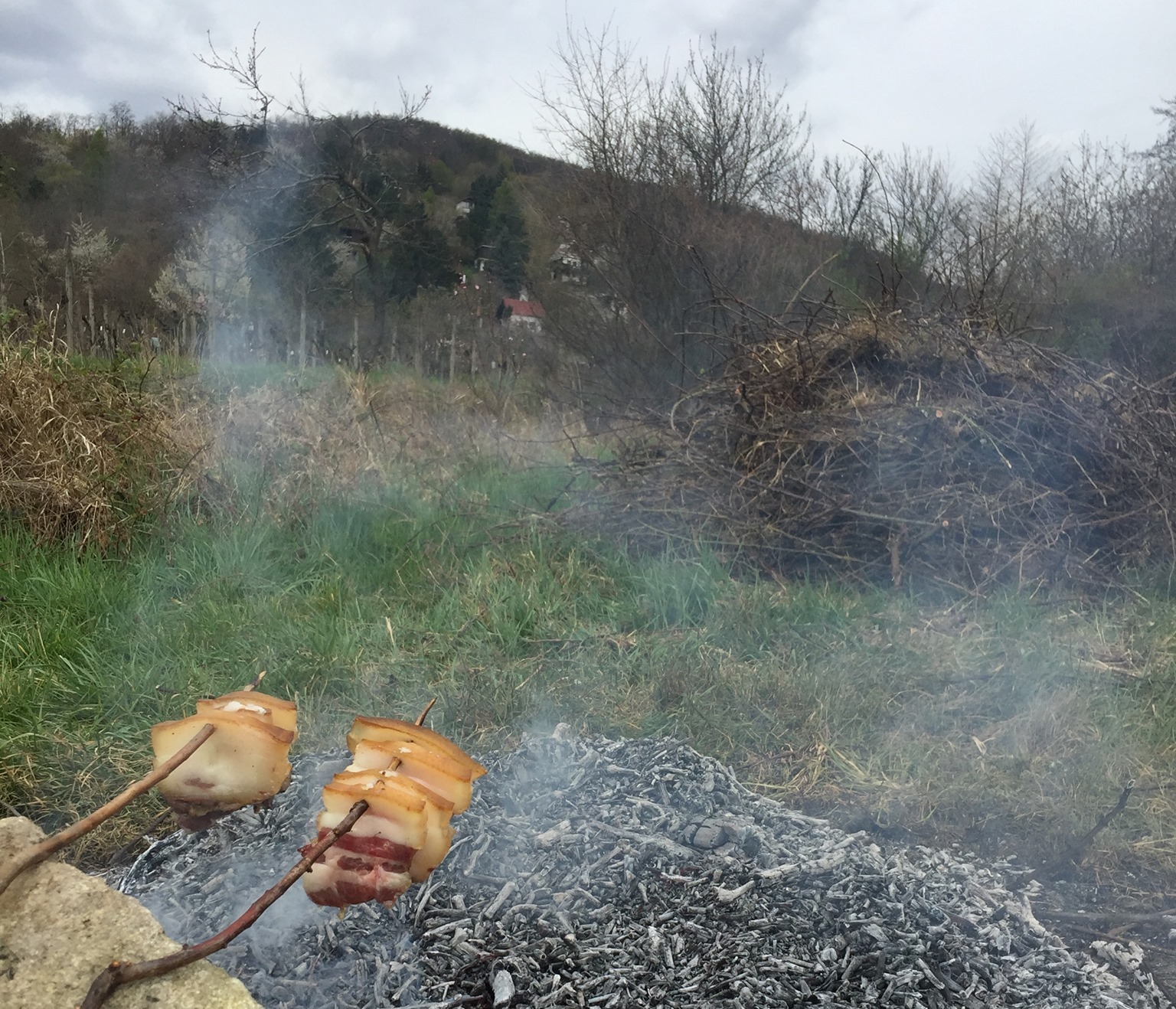 Brigáda vo vinohrade spojená s "opekačkou"