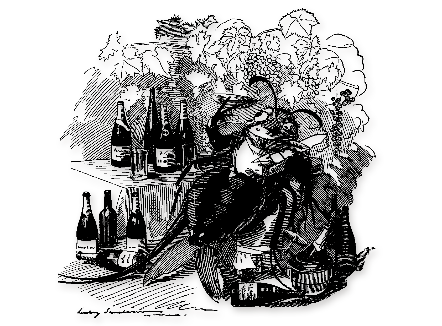 História vinárstva na Slovensku: Najväčšia epidémia európskeho vinohradníctva - fyloxéra