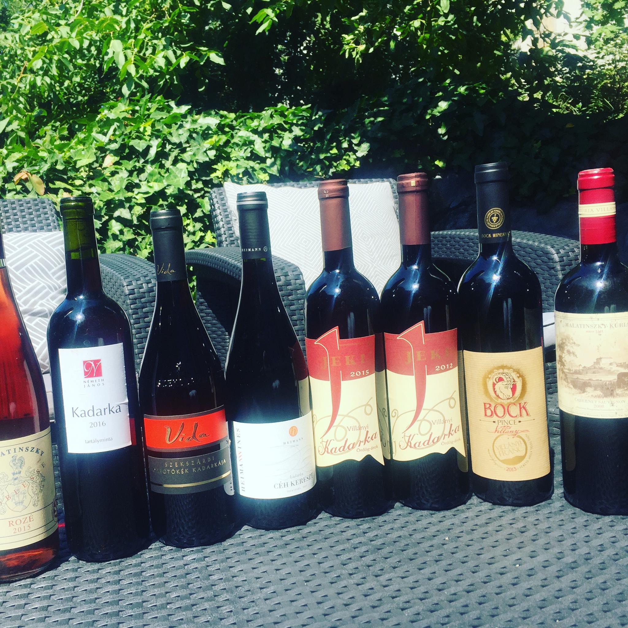 Kadarka – červené víno na záver leta (23.8.2017)