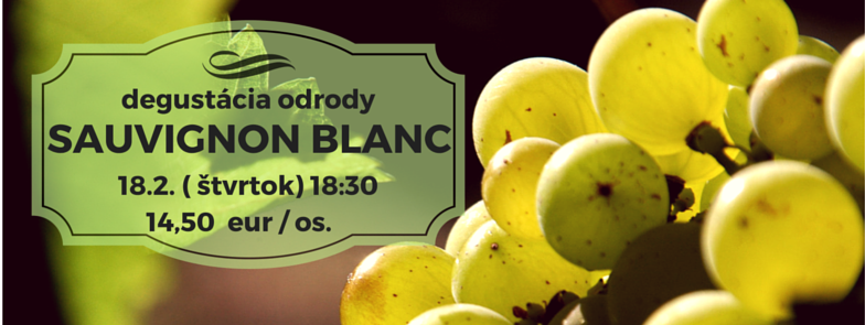 Degustácia odrody SAUVIGNON BLANC (18.2.2016)