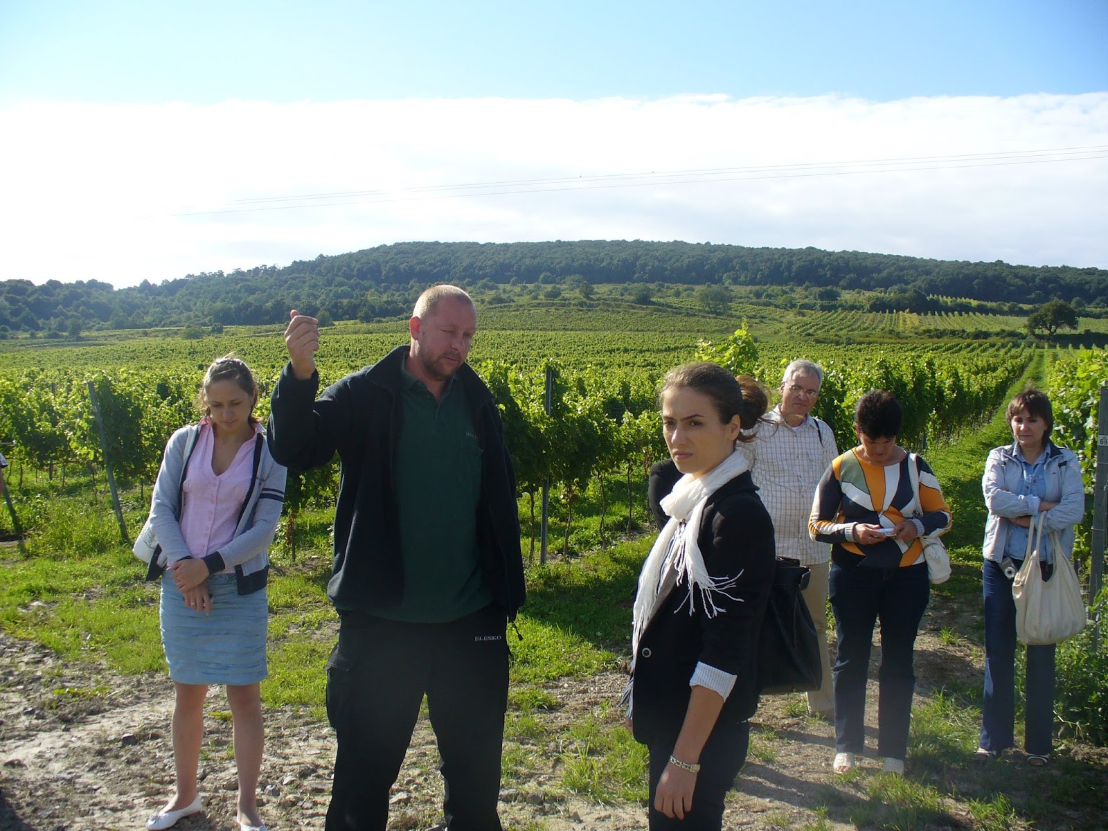SOMELIERSKY KURZ - náuka o víne (23. - 25.11.2017)