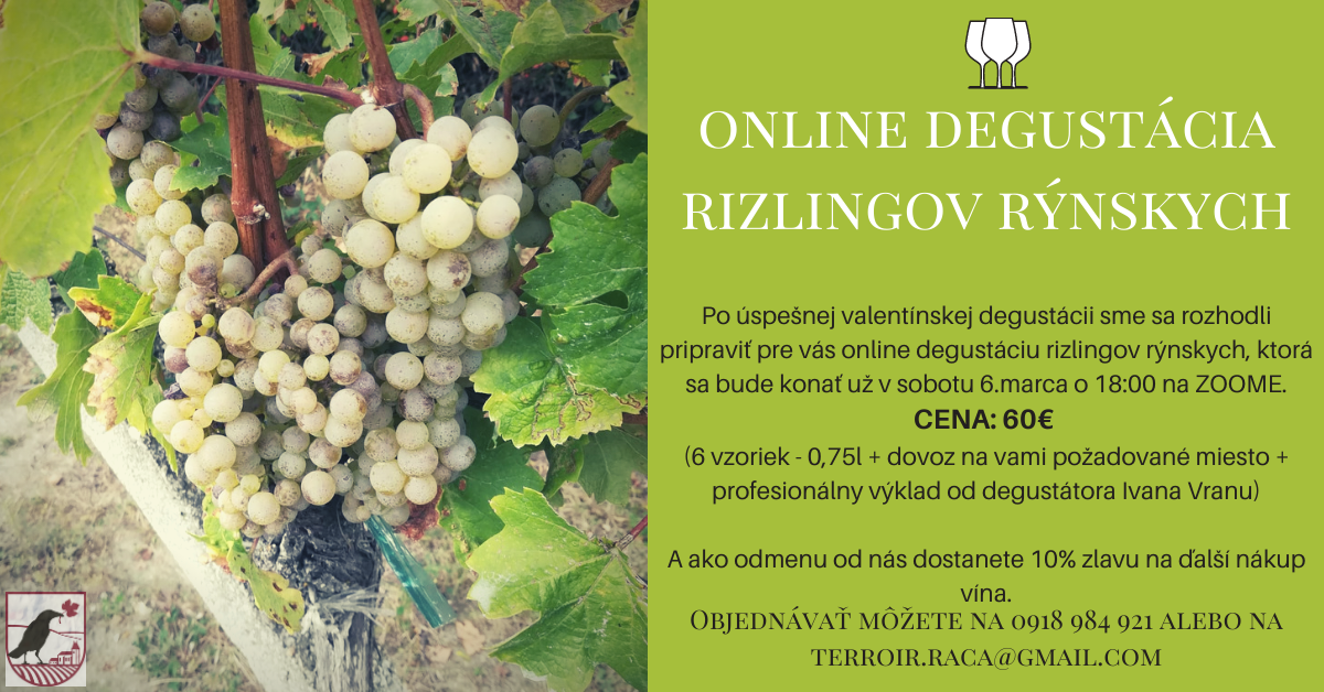 Online degustácia Rizlingov rýnskych z Rače