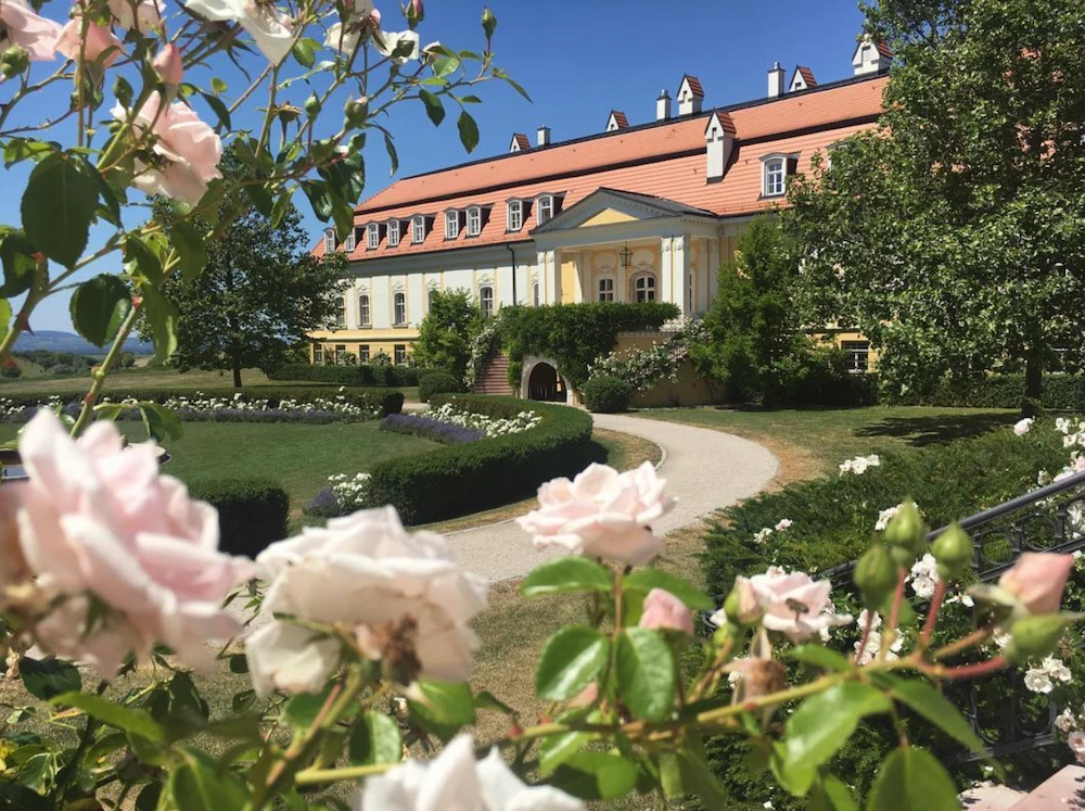 Nevinne o víne v Chateau Belá