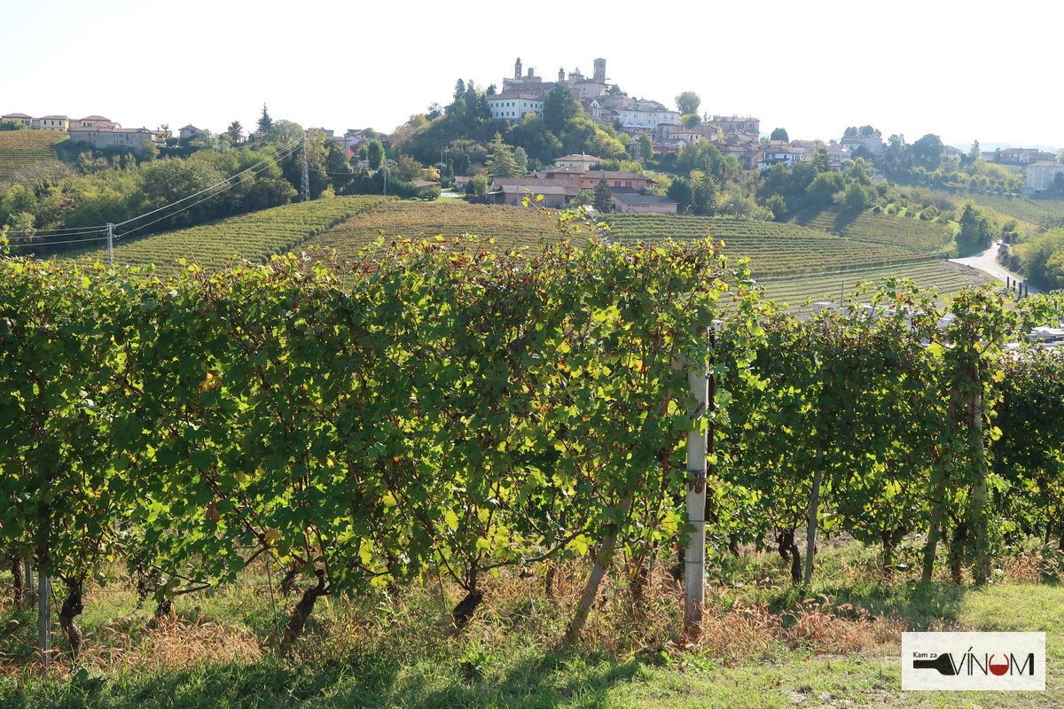 Vinári z Piemontu: Označenie pôvodu nie je garanciou dobrého vína, treba spraviť viac