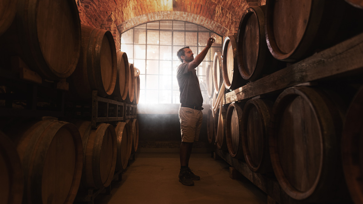 Rok z pohľadu vinára: výsadba viniča a výroba sektu