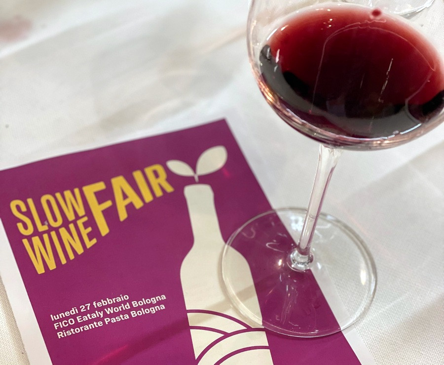 SLOW WINE aj so slovenským zastúpením