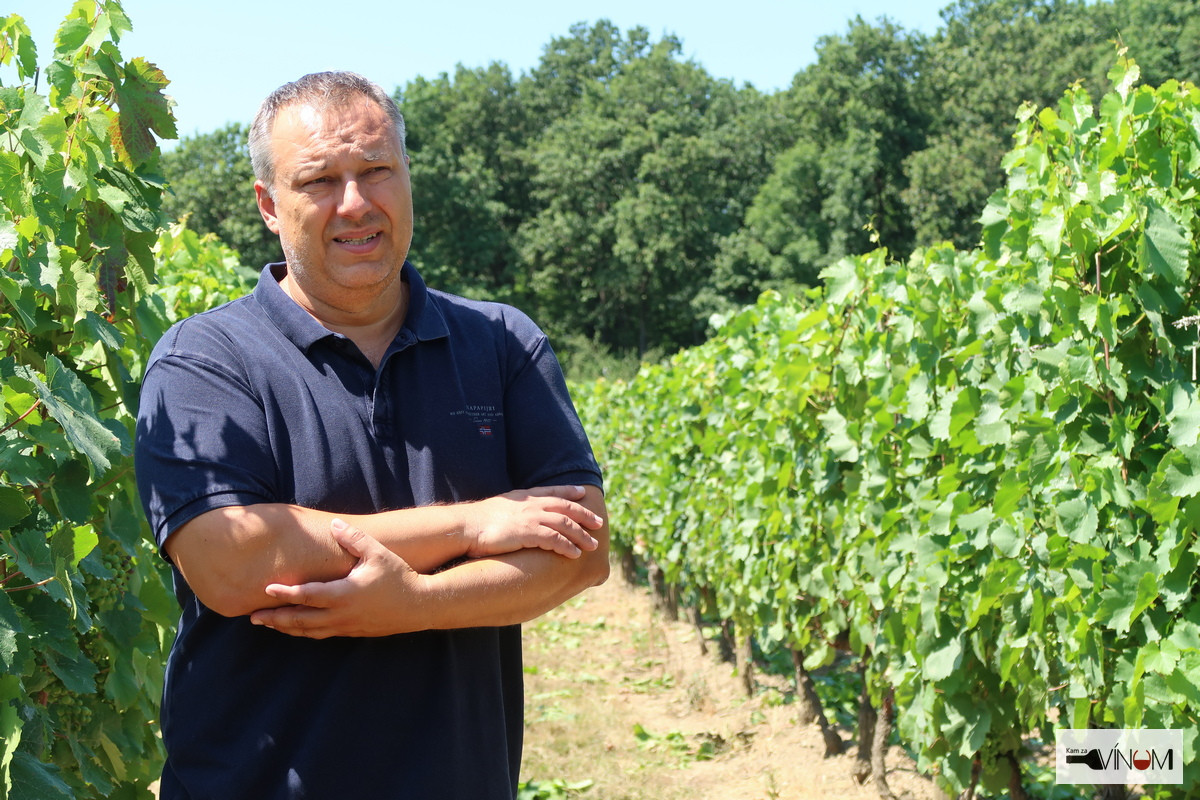 Martin Pomfy: Situácia so slovenským vínom je vážna, treba od slov pristúpiť k činom