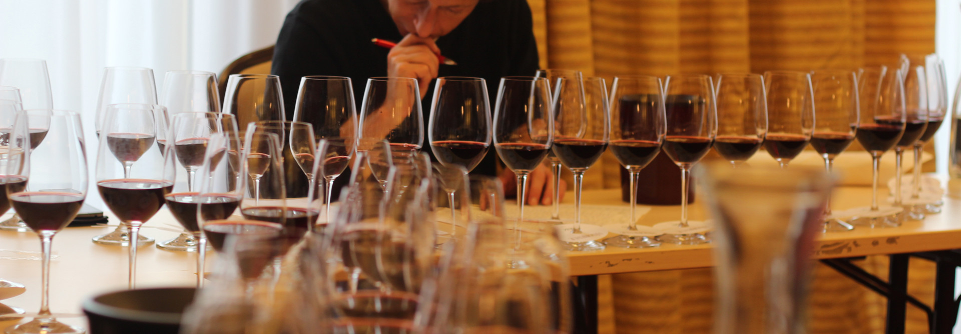 Slovenskí vinári opäť úspešní na Prague Wine Trophy