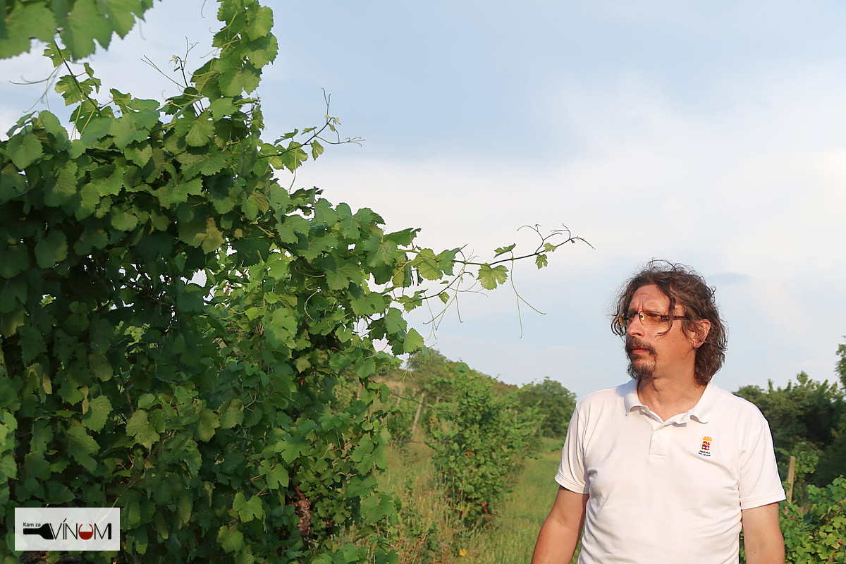 Víno Verita: Obnova viníc a vinárskych tradícií je naším záväzkom voči regiónu (ROZHOVOR)