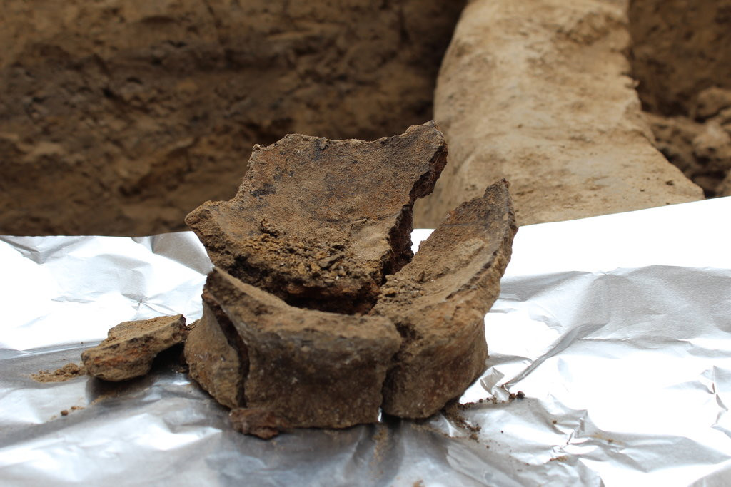 Najstarší pohár na víno má viac ako 8000 rokov