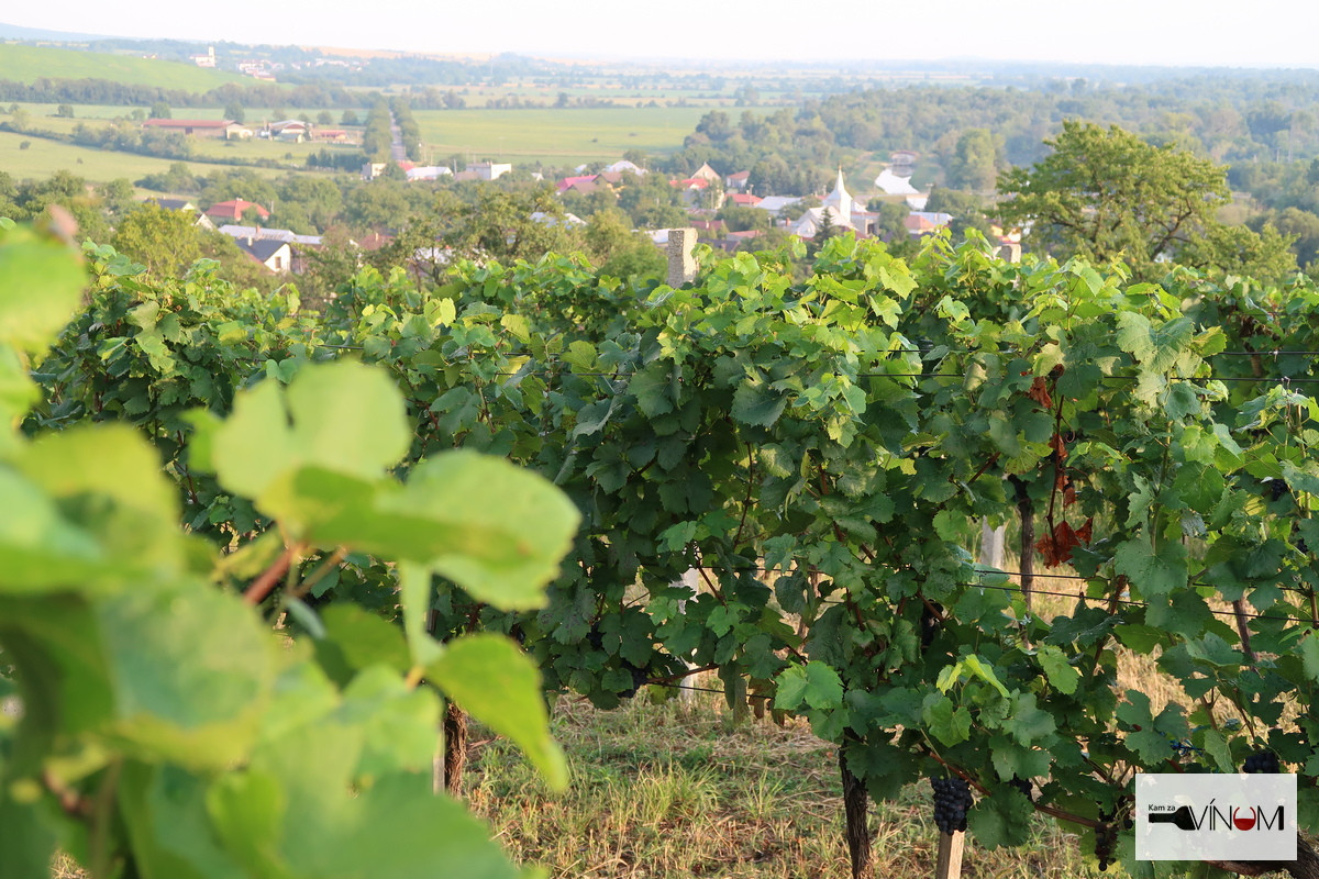 FOTOREPORTÁŽ: Winetrip - Východné Slovensko