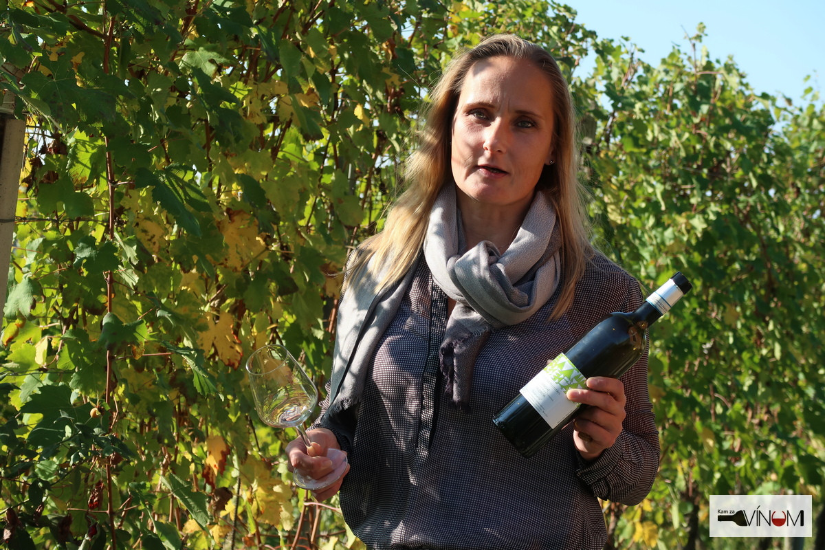 Adriana Harandzová: Aj malí vinári sa môžu presadiť. Piemont je toho dôkazom