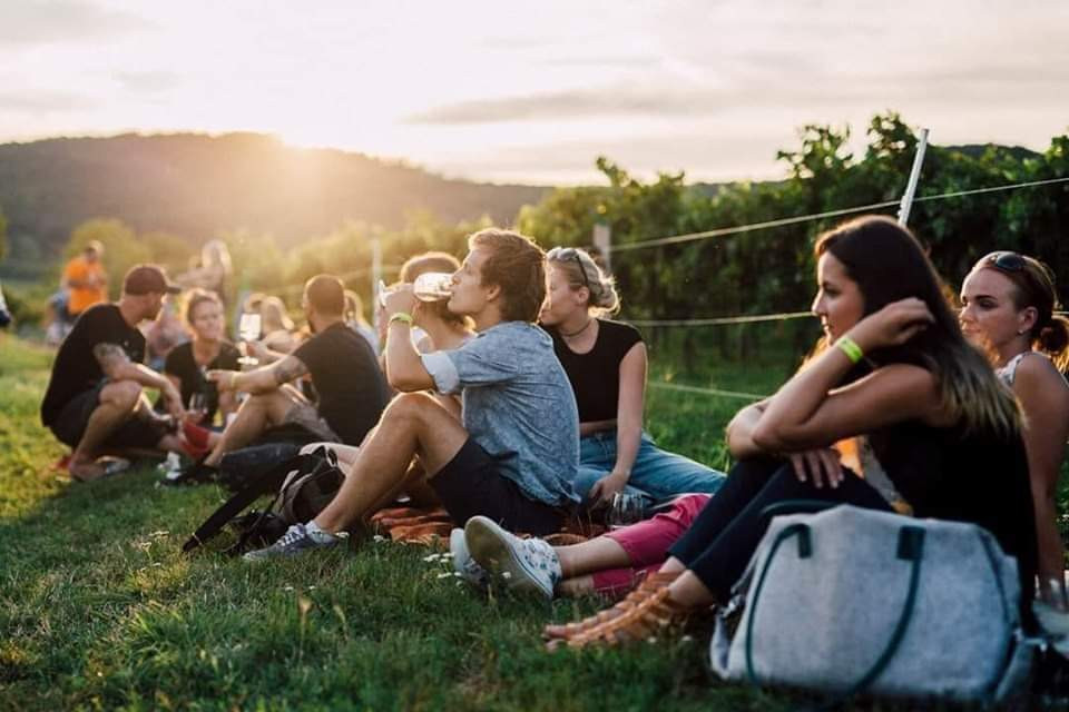 Piknik vo vinohradoch
