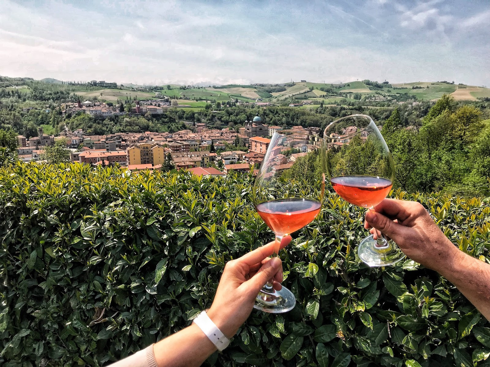 Wine Trip Piedmont - poznávací výlet za vinármi do Talianska
