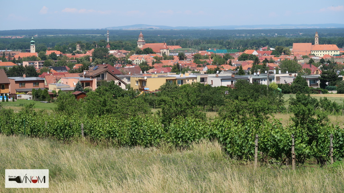 FOTOREPORTÁŽ: Winetrip - Vínna cesta Záhorie